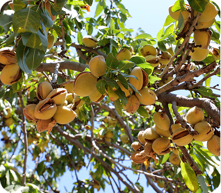 image 2026 01 14T080553.792