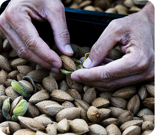 image 2026 01 14T080557.695