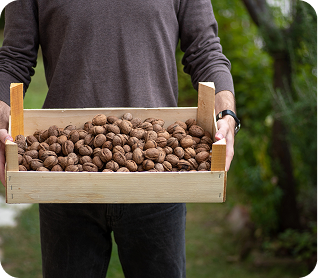 image 2026 01 14T080601.026