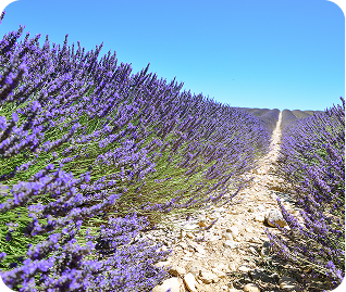 image 2026 01 14T081041.780