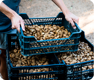 image 2026 01 14T081049.700