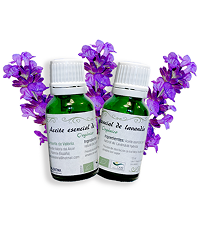 image 2026 01 14T095132.438